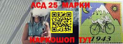 гидропоника Донской