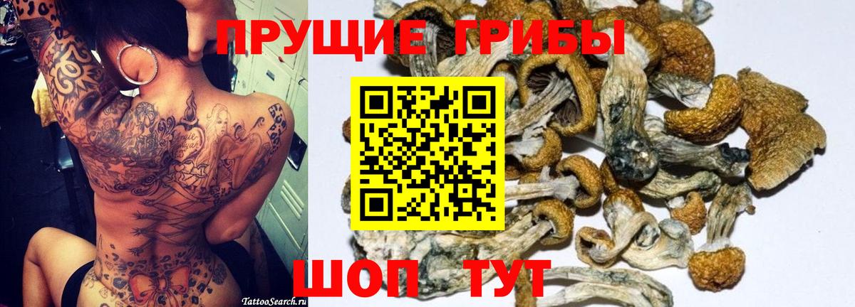 Псилоцибиновые грибы Psilocybine cubensis  Вход с VPN  Псилоцибиновые грибы Magic Shrooms  Шелехов 