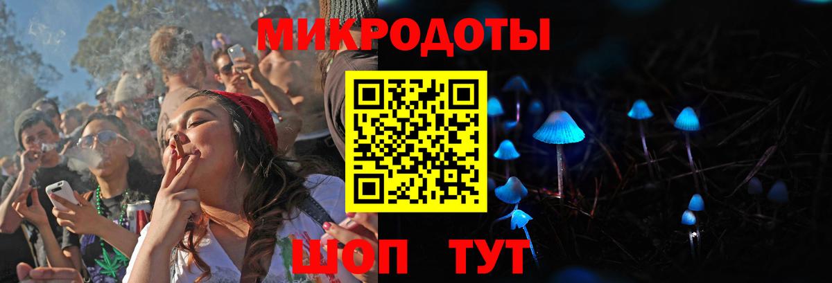 Псилоцибиновые грибы Cubensis Шелехов